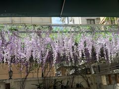 -茶米人台湾料理·精致快简餐