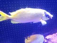 -飞歌e族KTV(雄楚1号店)