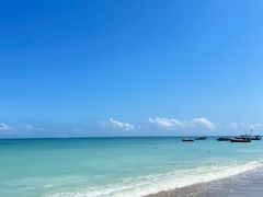 -津可佳·和树银海杂粮