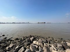 -上海滨江森林公园