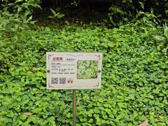 -广东中医药博物馆