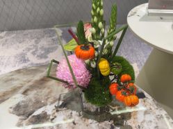 -明潪Selfology升维护理中心