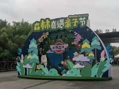 -黄海国家森林公园