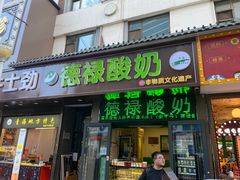 -德禄酸奶(莫家街店)