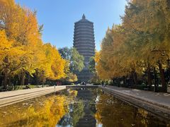 -玲珑塔公园