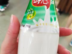 -德禄酸奶(莫家街店)