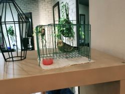 -MAGSTUDIO美格造型