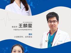 -芭比堂动物医院·CT·微创中心(新顺分院)