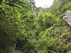 -七仙岭温泉国家森林公园
