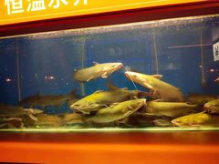 -鱼上·烤鱼(万象城店)