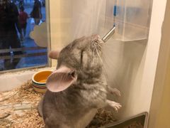 -龙猫仔乐园(惠福东路店)