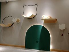 -飞行喵MR PILOT|猫舍·猫咖(静安大融城店)