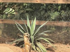 -海南热带野生动植物园