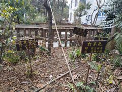 -腾冲市固东中心卫生院