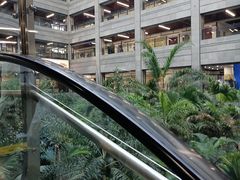 -黑龙江中医药大学附属第一医院