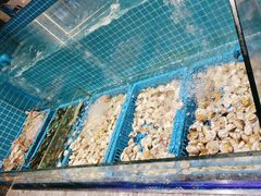 -曼格活海鲜·牛排自助(光明蓝鲸店)