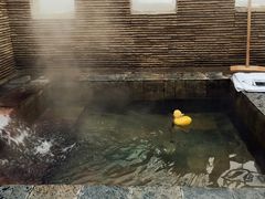 -北京美神宫艺术主题温泉酒店