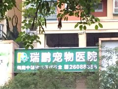 iphone_upload_pic-瑞鹏宠物医院·骨科·猫科·内科(第一中心)