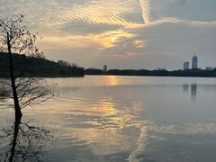 -海珠湖公园