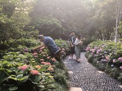 -常州古运河南大街文化旅游区-人民公园