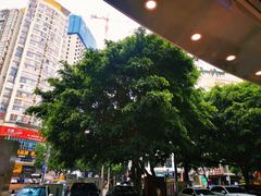 -舒记粉店(七星路店)