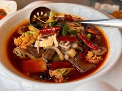 极品毛血旺-香辣会·老牌川菜(骏豪店)