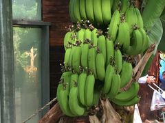 -北京植物园-展览温室