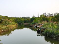 -上海长兴岛郊野公园