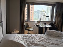 -新加坡乌节希尔顿酒店 (SG Clean)