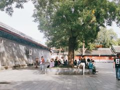 -北京国子监胡同