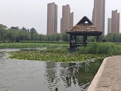 -前关湿地公园