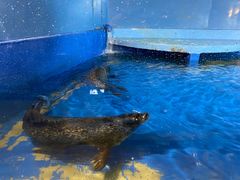 -太平洋海底世界