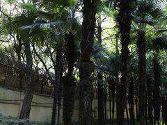 -徐家汇源景区-衡山公园