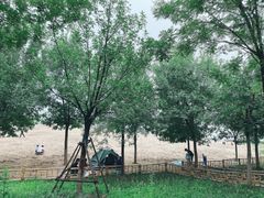 -东郊湿地公园