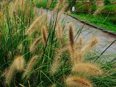 -前小桔亲子创意农场·草莓采摘·露营烧烤