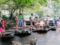 -成都市活水公园