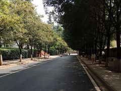 -西南林业大学(白龙校区)