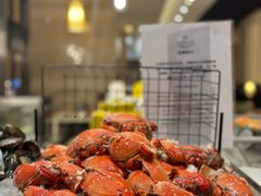 -常州富力喜来登酒店 Feast盛宴标帜西餐厅(新北万达广场店)