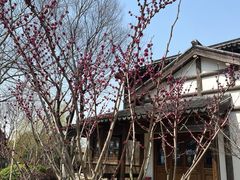 -石湖景区