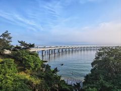 -星海湾跨海大桥