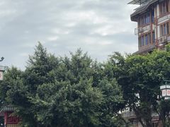 -张公桥美食街