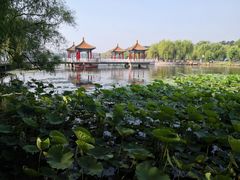 -长春市南湖公园