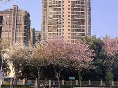 -中国船政文化博物馆