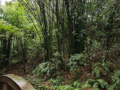 -凤栖山