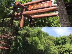 -杭州植物园