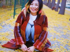 -三里屯东五街银杏大道