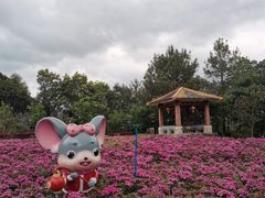 -广州市流溪河国家森林公园