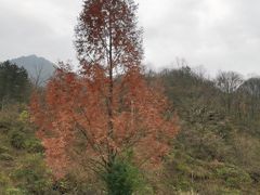 -光雾山旅游景区