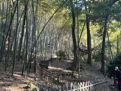 -宝石山