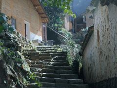 -杨家堂村